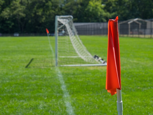 都靈的邊衛 都靈的邊衛