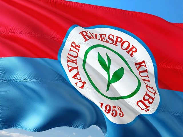 实力能够与 实力能够与