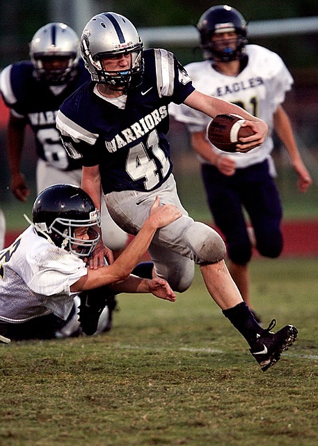 梅斯偏爱于 梅斯偏爱于